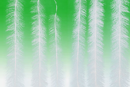 ƽ�浯������