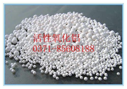 �㶫������������Ҫ�����ķ��棿��